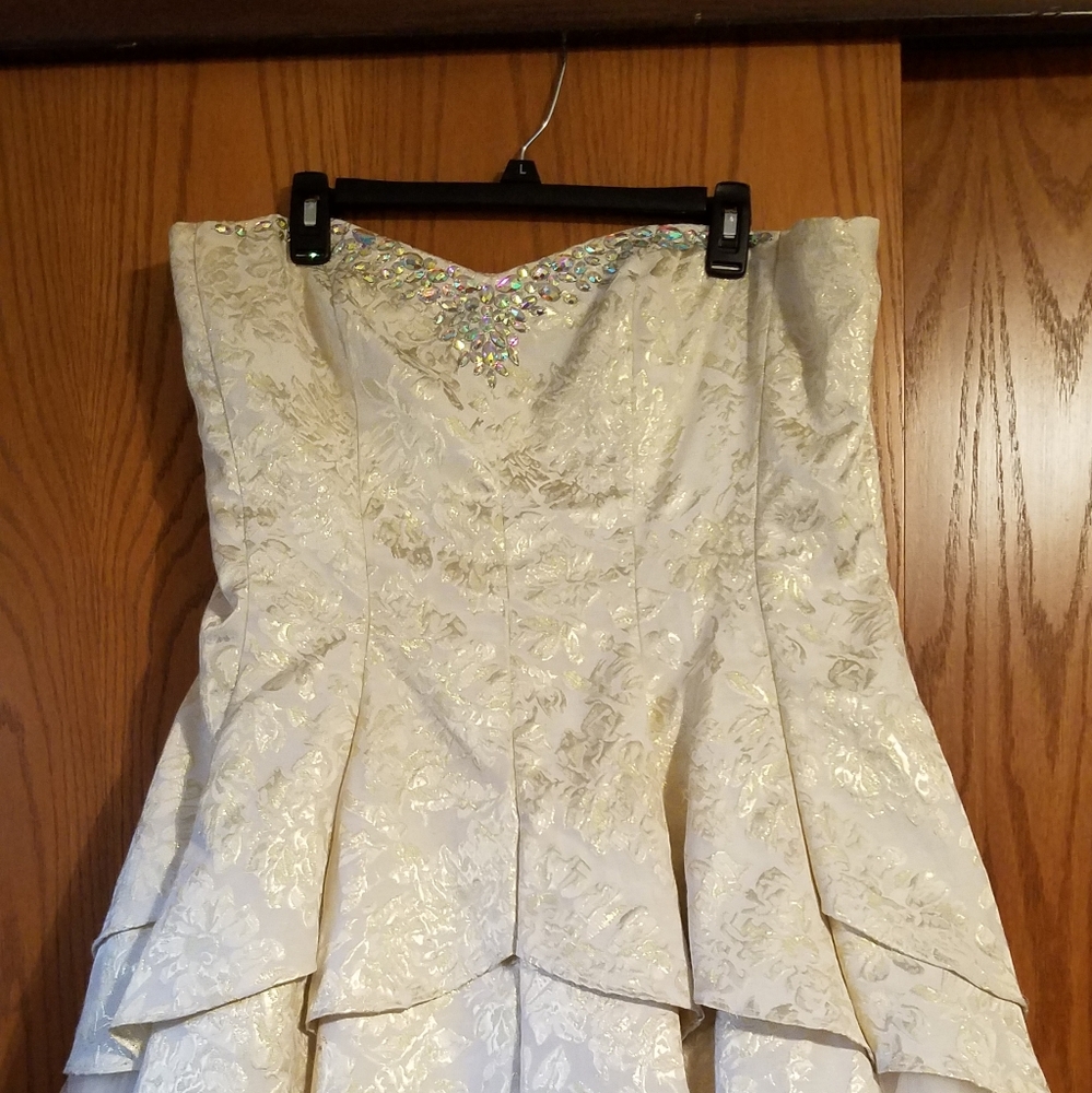 Short Cream and Gold A-line